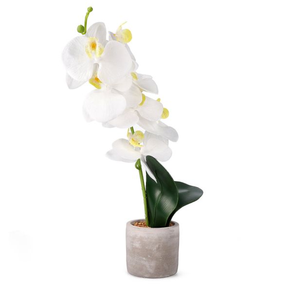 Orchidea ORCHID sztuczna biała 9x8x49 cm