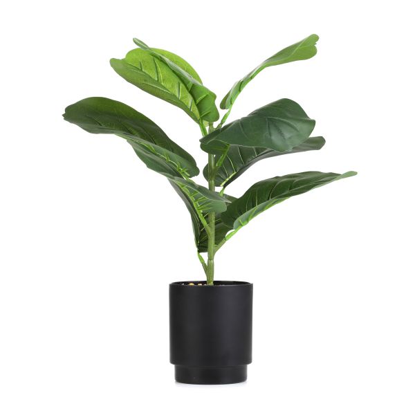 Roślina sztuczna SEMELA fikus 43 cm