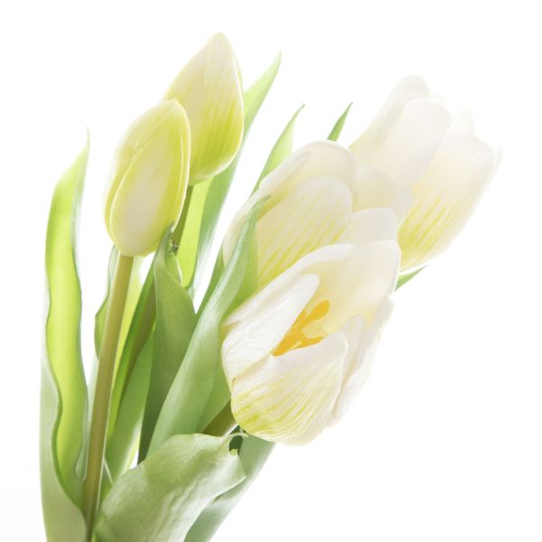 Bukiet kwiatów LITEN tulipany białe 31 cm