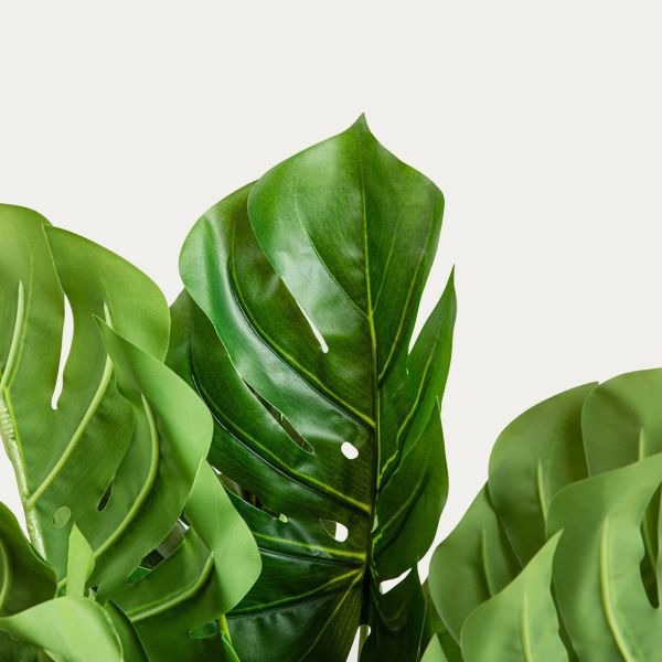 ROŚLINA SZTUCZNA B2 MONSTERA 60 cm 