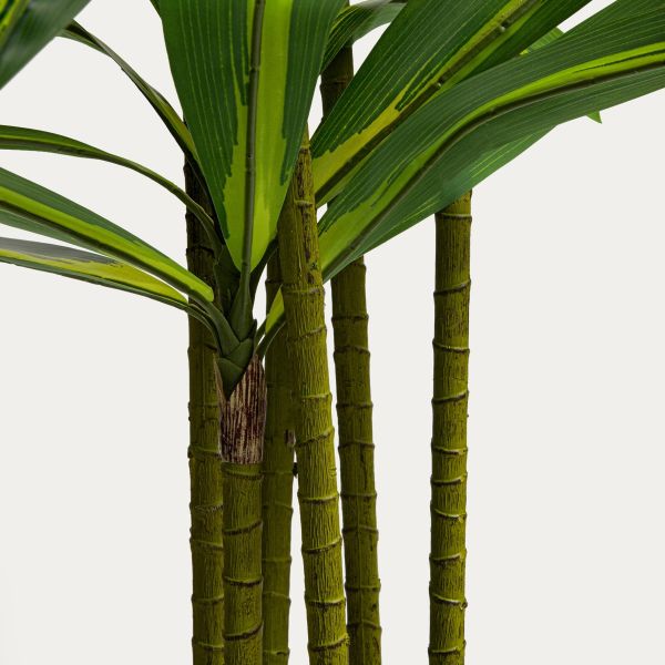 Roślina sztuczna GREENORA dracena 160 cm