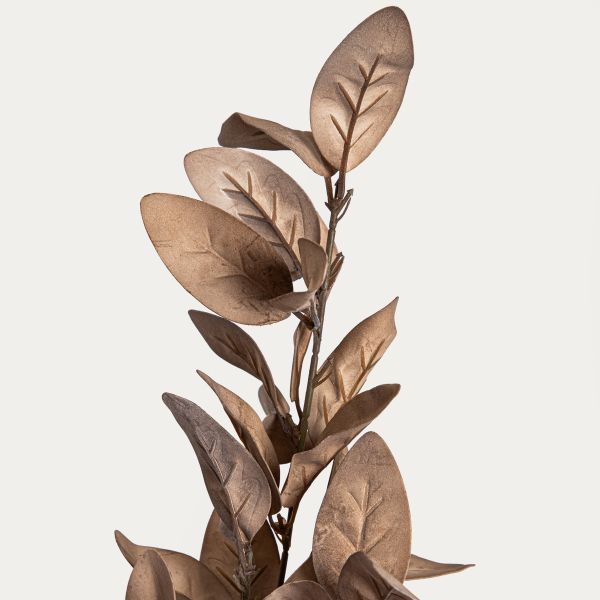 Gałązka sztuczna KAIRO liście magnolii brązowe 82 cm