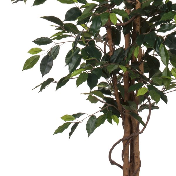 Roślina sztuczna BARO fikus 150 cm