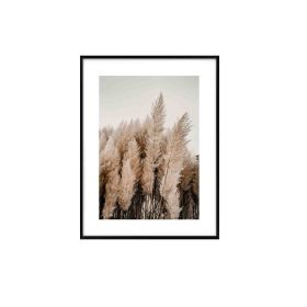 Obraz DENVER trawy pampasowej 40,8x30,8 cm