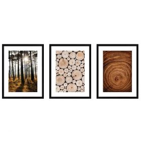 Zestaw obrazów KNOR las i drewno 30x40 cm