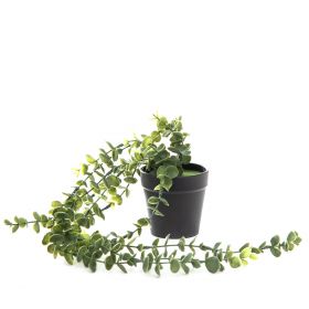Roślina sztuczna EUCALYPTUS w donicy wisząca 50 cm