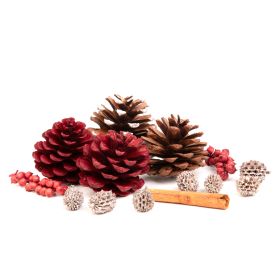 Susz dekoracyjny ROQUE Pine & Cinnamon 18x12x7 cm