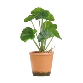 Roślina sztuczna SEMELA pelargonia 25 cm