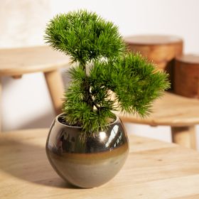 Roślina sztuczna SEMELA bonsai 27 cm