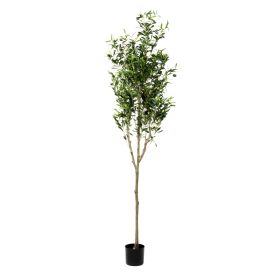Roślina sztuczna TROPICAL ZONE drzewko oliwne 180 cm