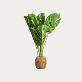 ROŚLINA SZTUCZNA B2 MONSTERA 60 cm 