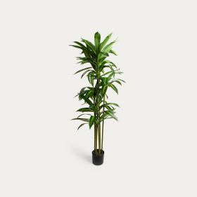 Roślina sztuczna GREENORA dracena 160 cm